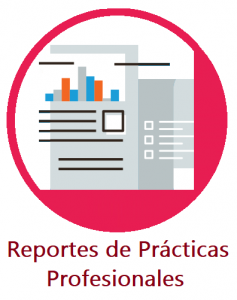 reportes practicas